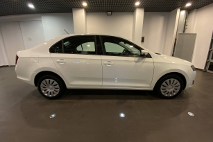 SKODA УДАЛЕННЫЕ