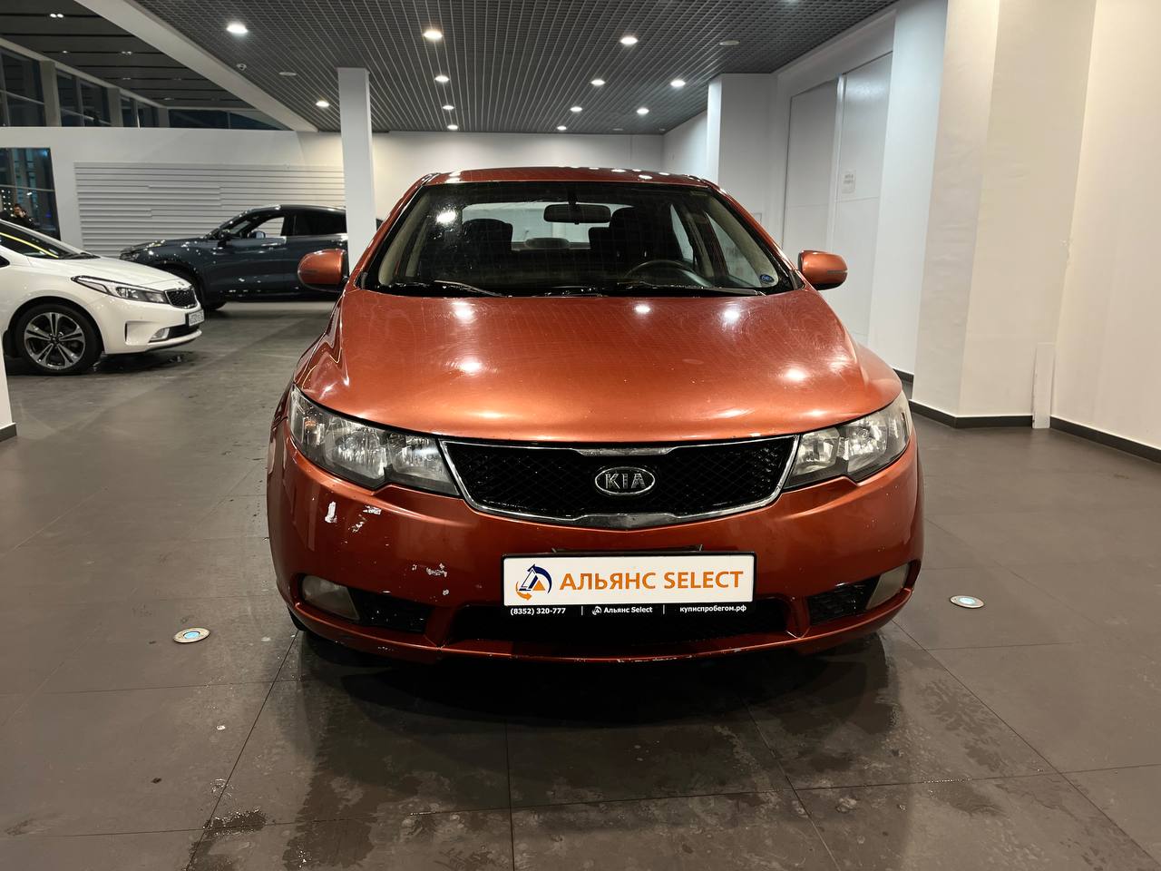 KIA CERATO
