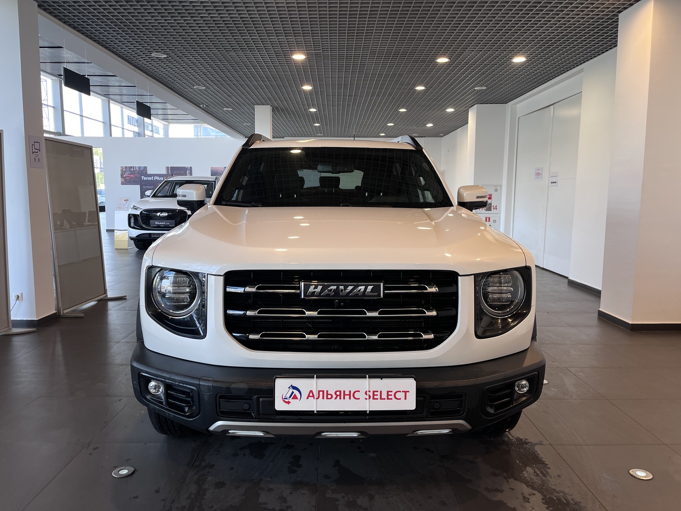 HAVAL DARGO