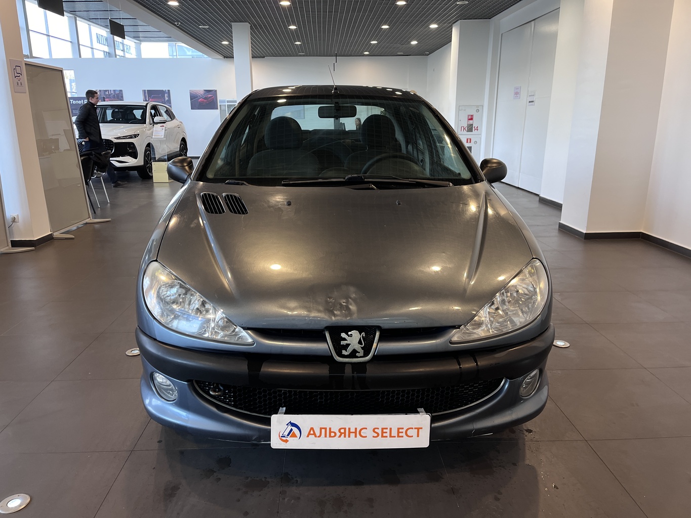 PEUGEOT 206