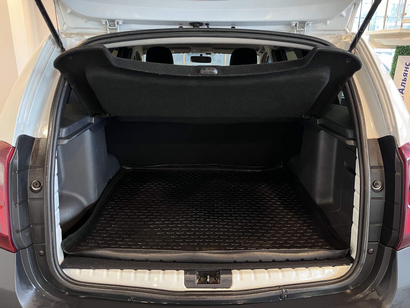 RENAULT DUSTER