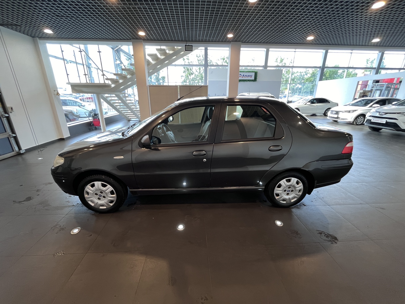 FIAT ALBEA