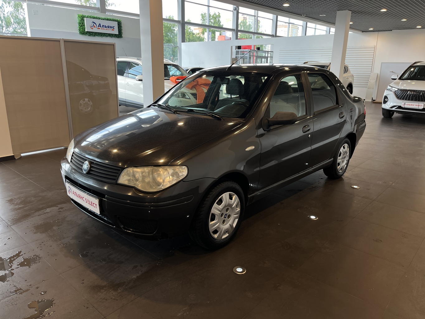 FIAT ALBEA