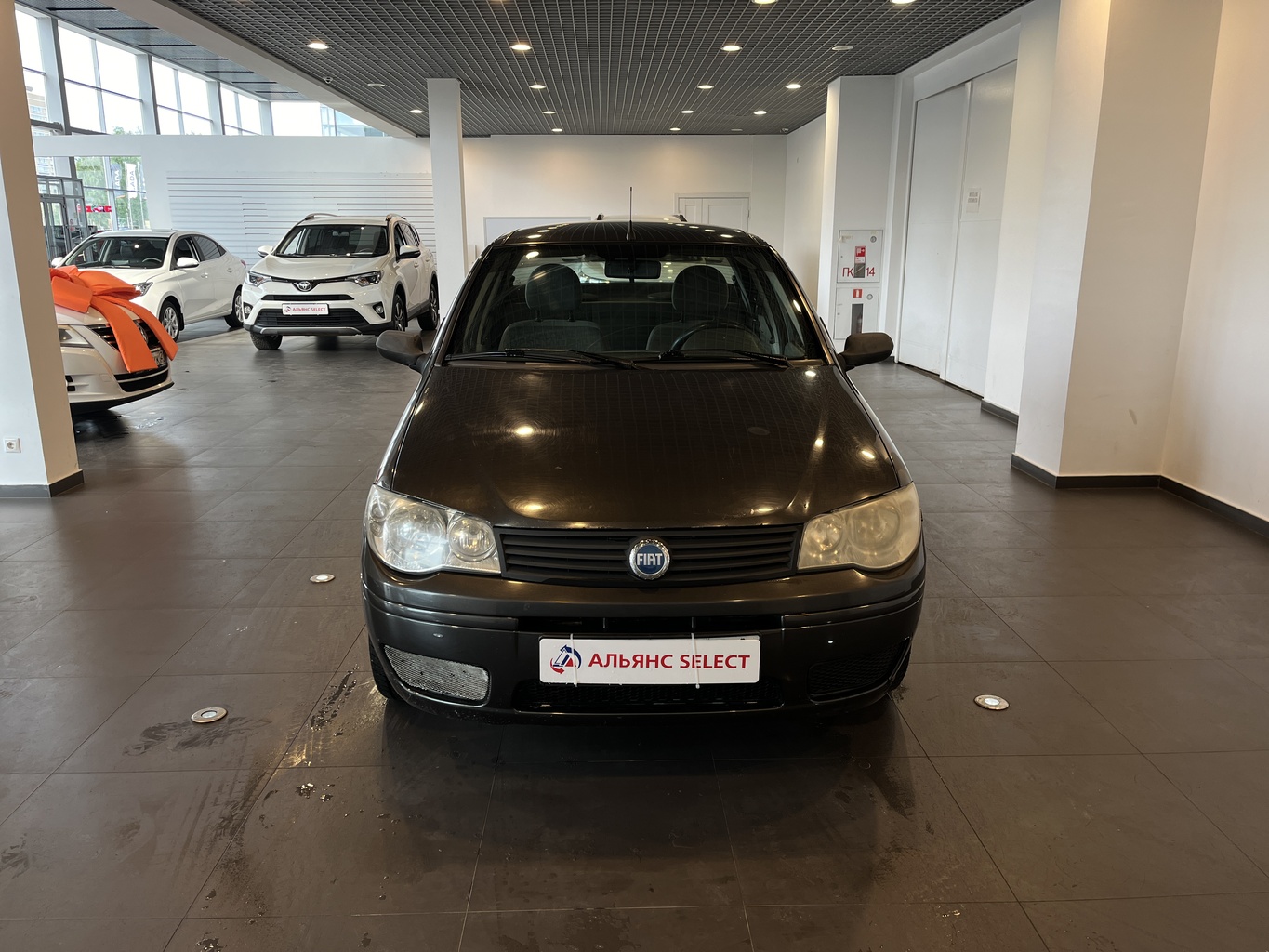 FIAT ALBEA