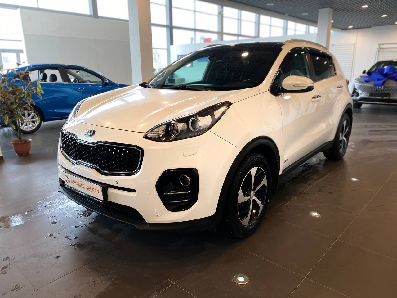 KIA SPORTAGE