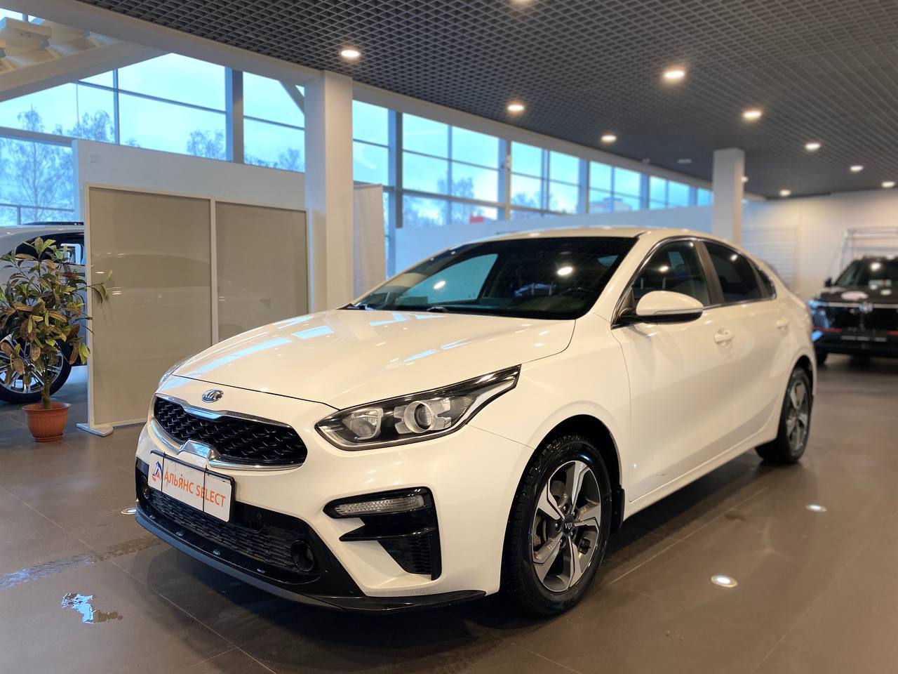 KIA CERATO