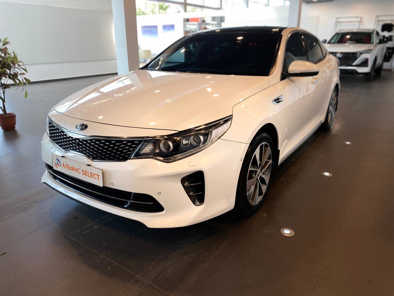 KIA OPTIMA
