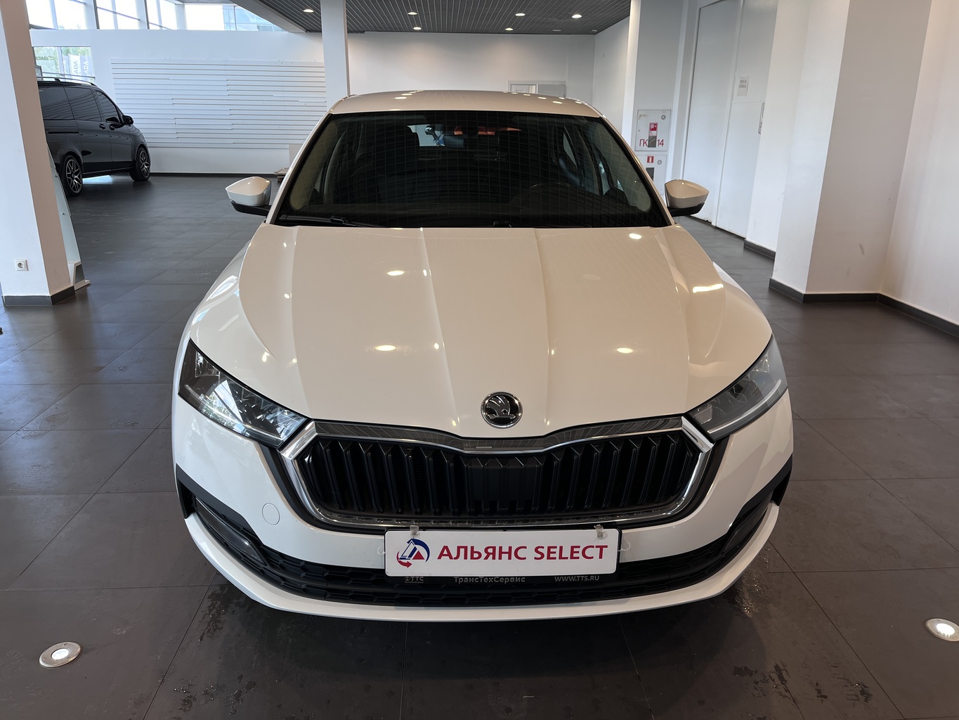 SKODA OKTAVIA