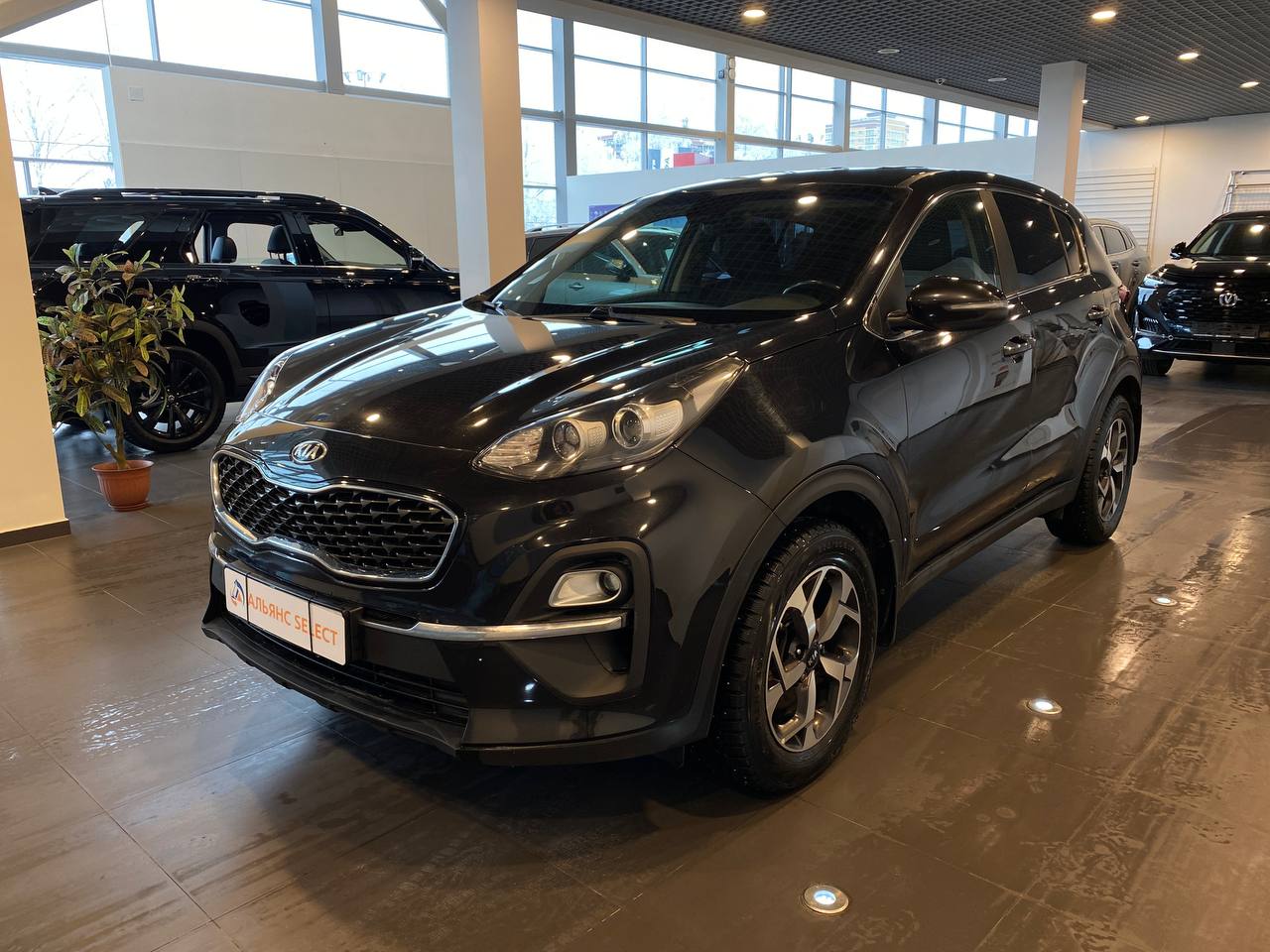 KIA SPORTAGE