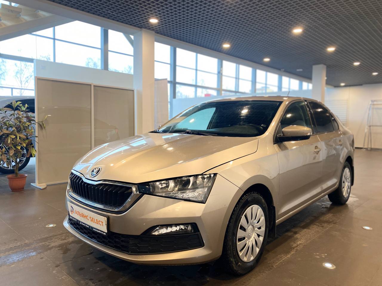 SKODA RAPID