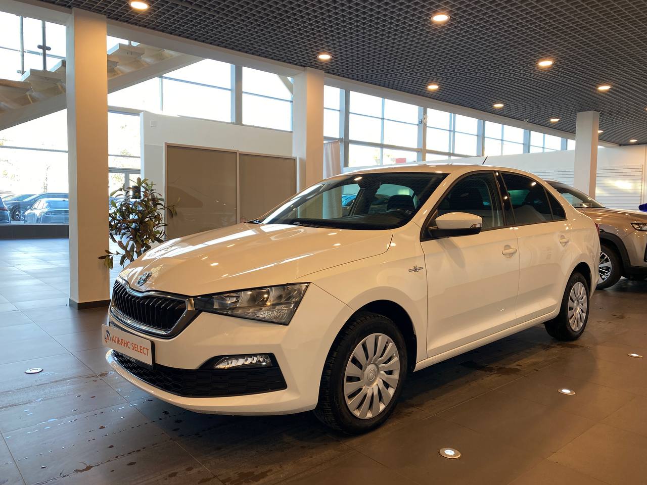 SKODA RAPID