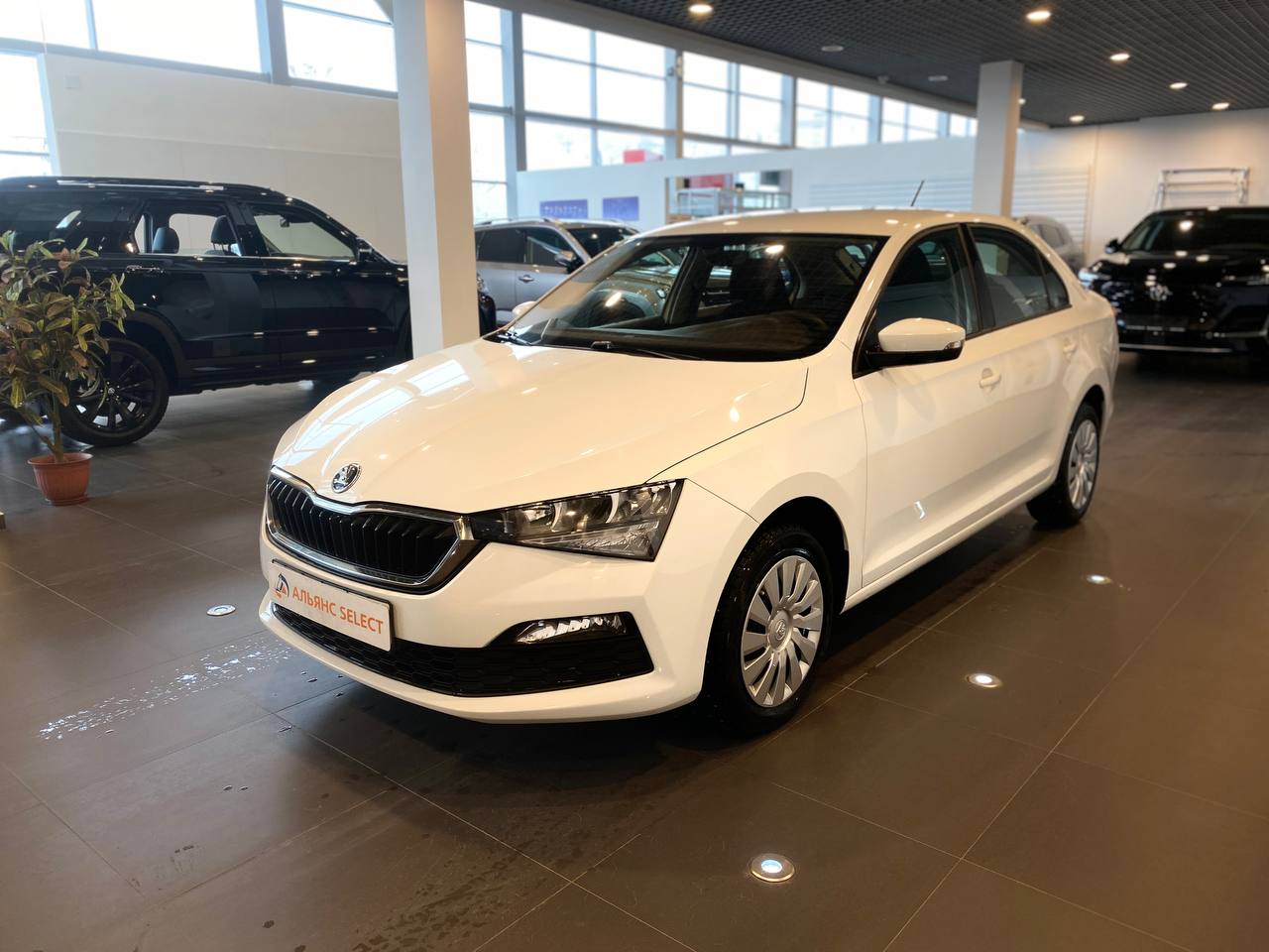 SKODA RAPID