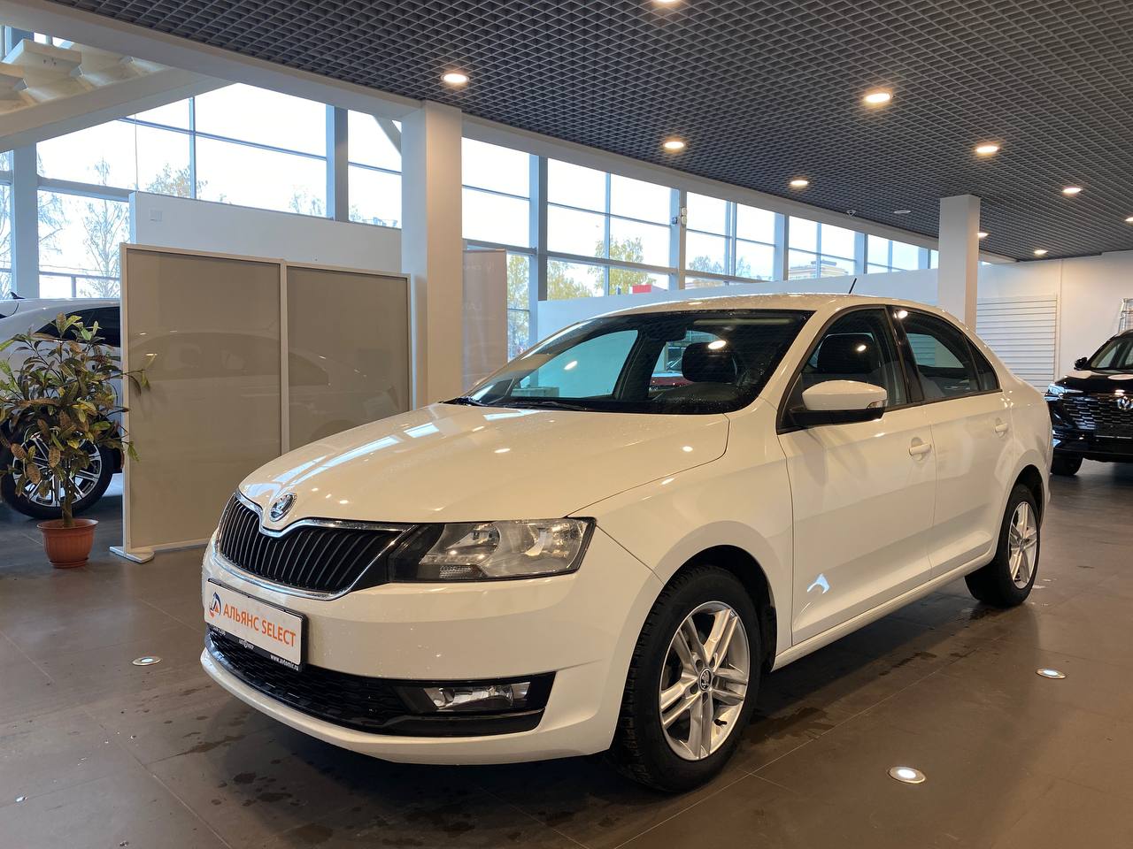 SKODA RAPID