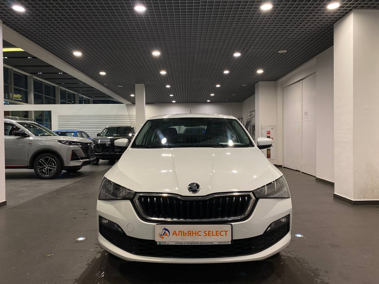 SKODA RAPID