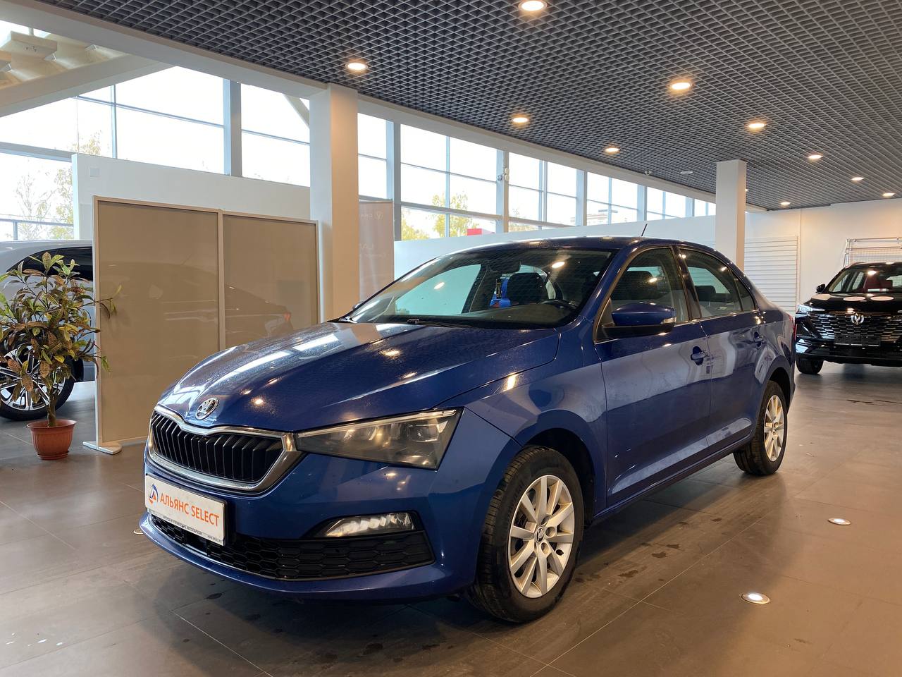 SKODA RAPID