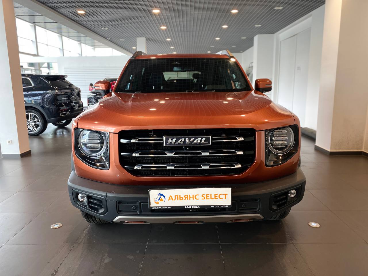 HAVAL DARGO