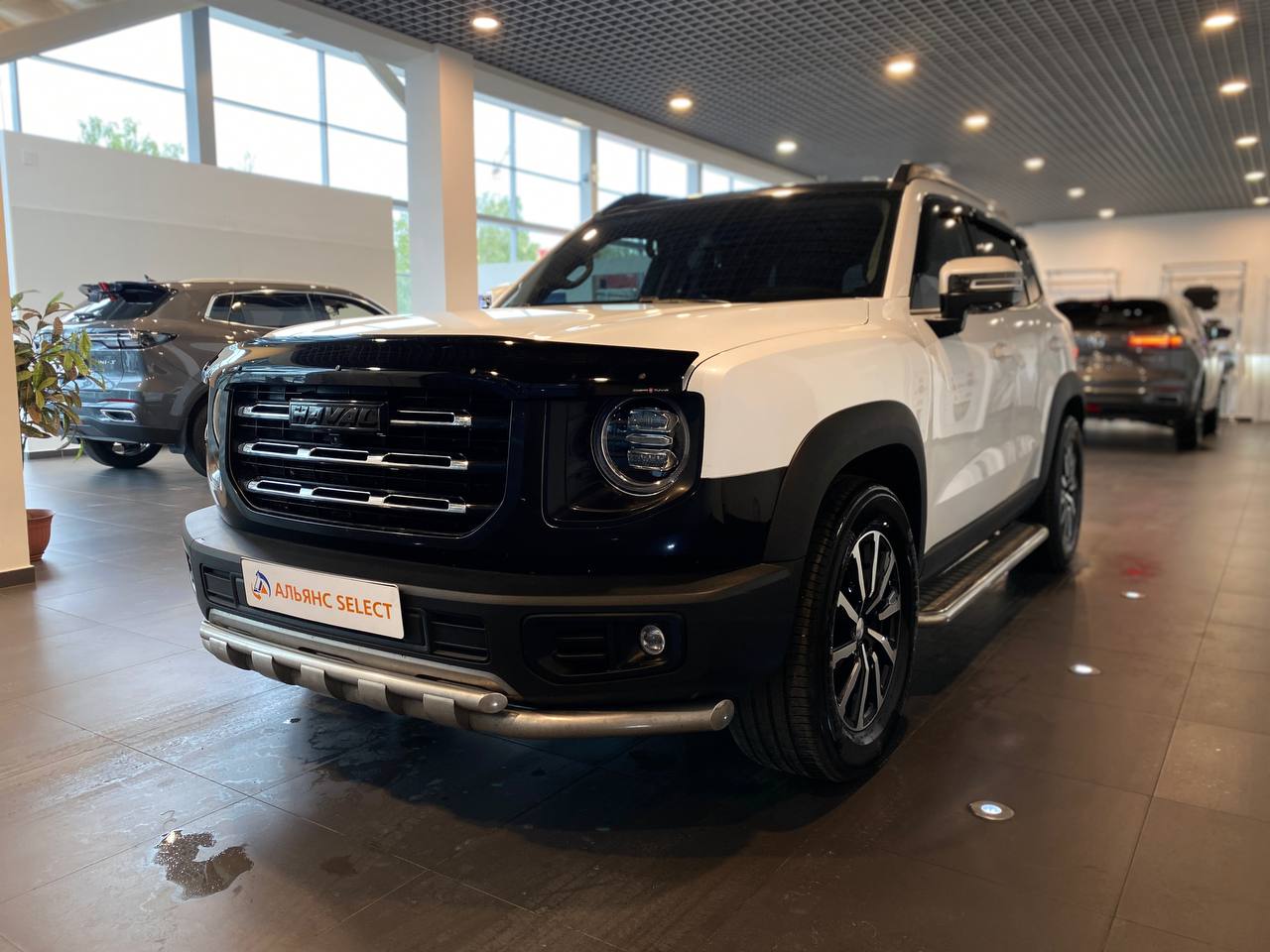 HAVAL DARGO