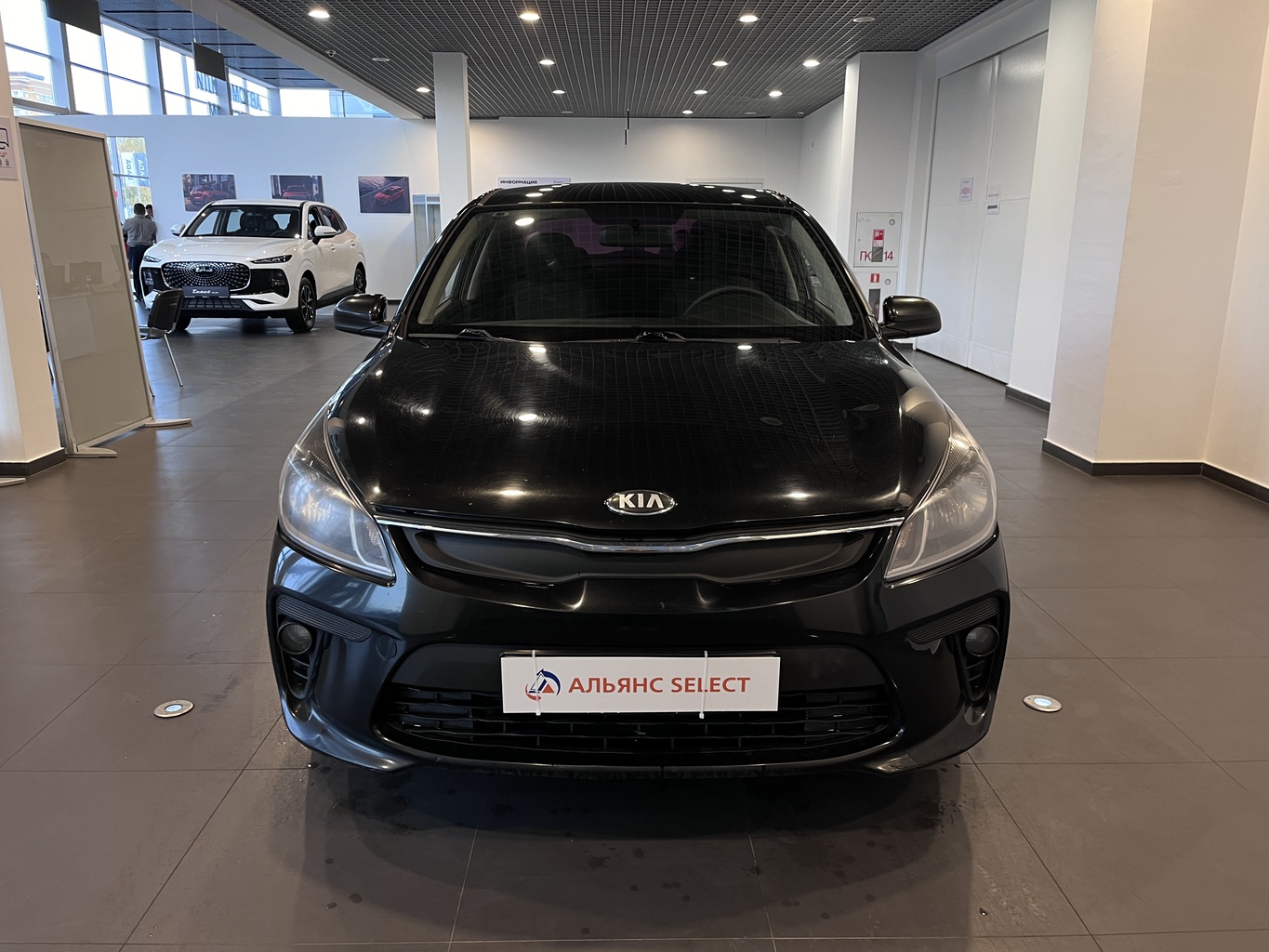 KIA RIO