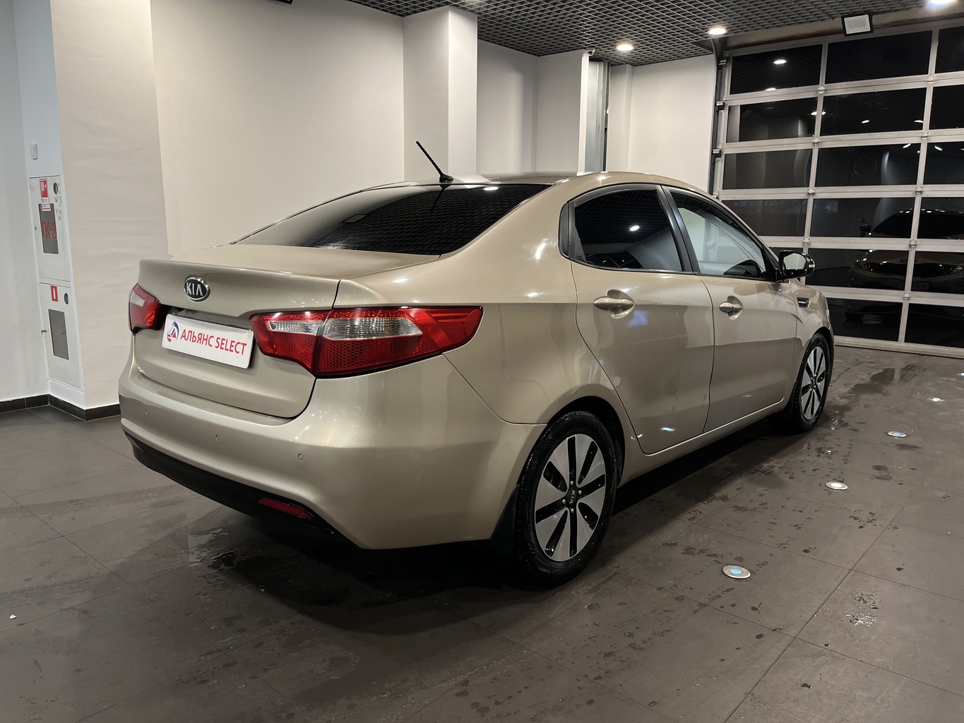 KIA RIO