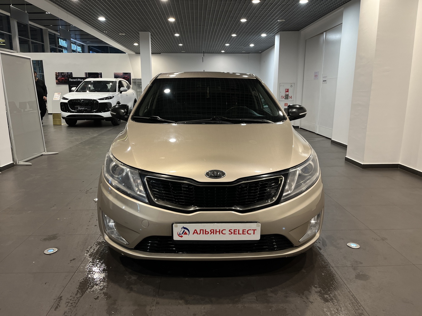 KIA RIO