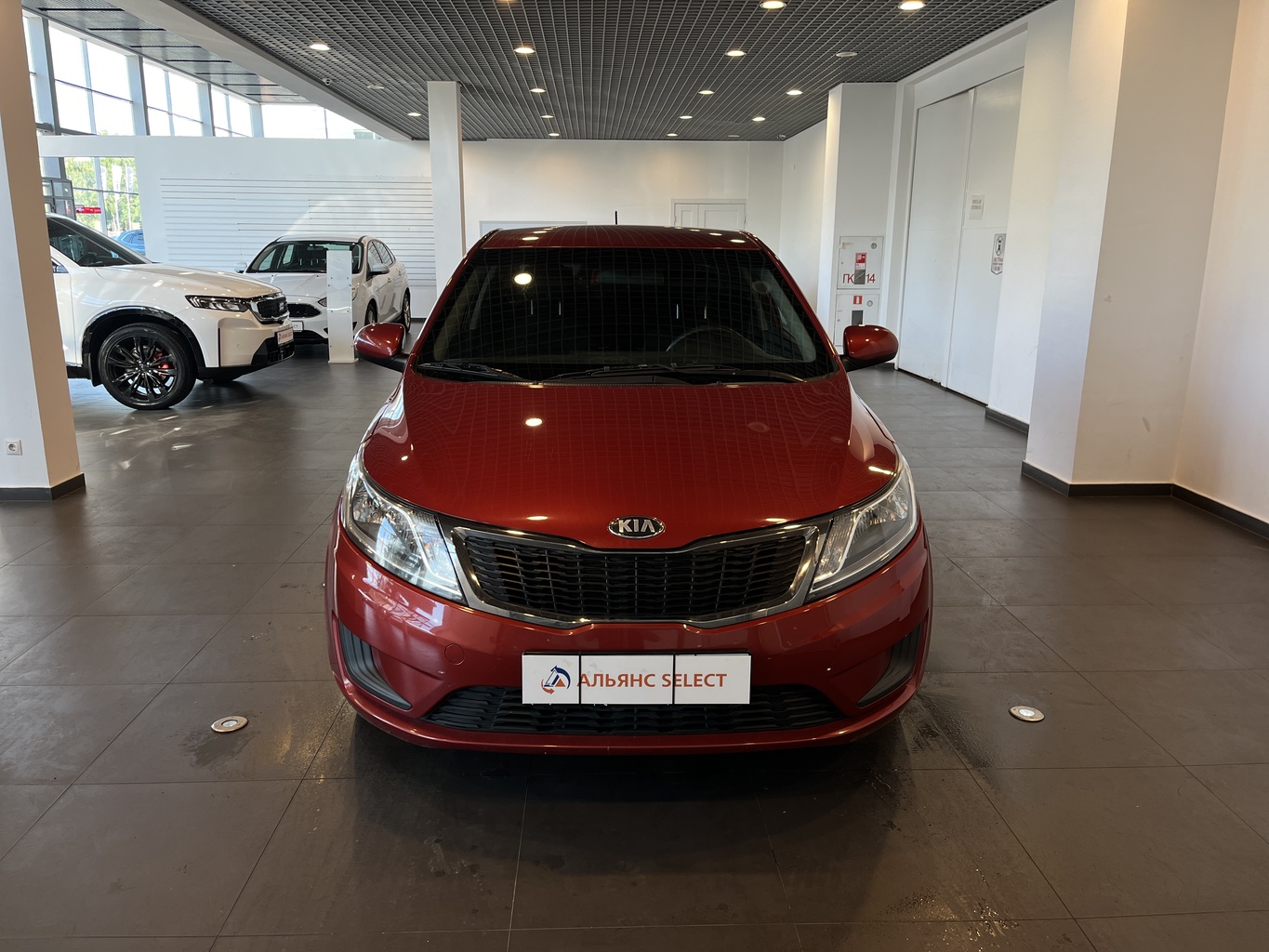 KIA RIO