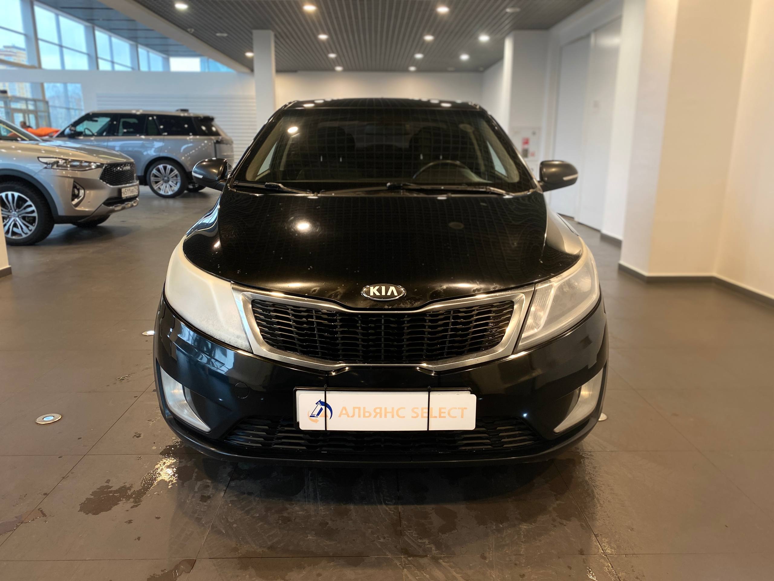 KIA RIO